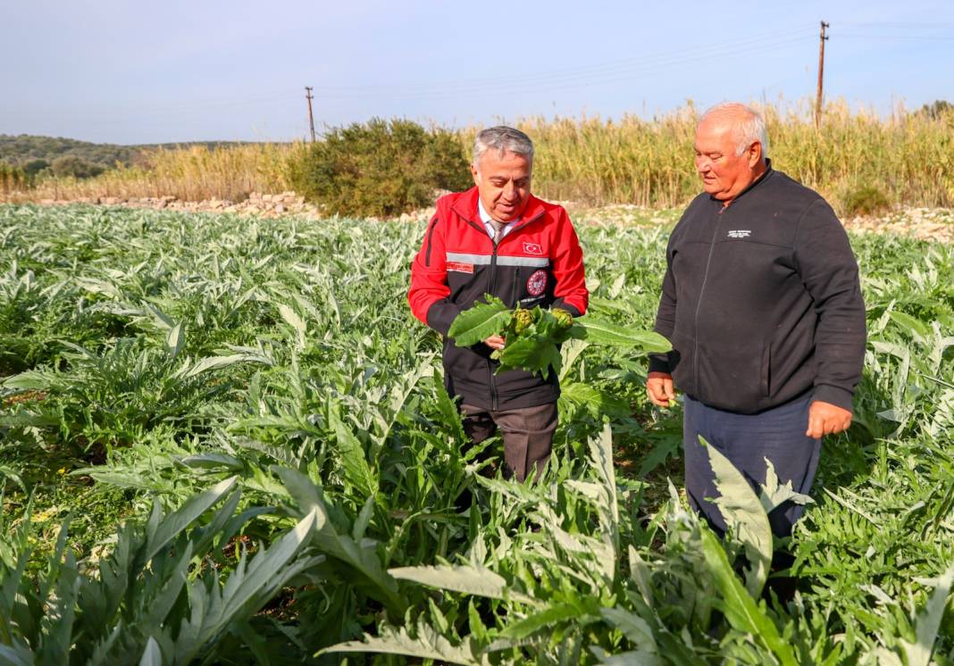 Bebek mamalarına ekleniyor. Bu yıl 10 bin tondan fazlası İzmir'den geldi 1